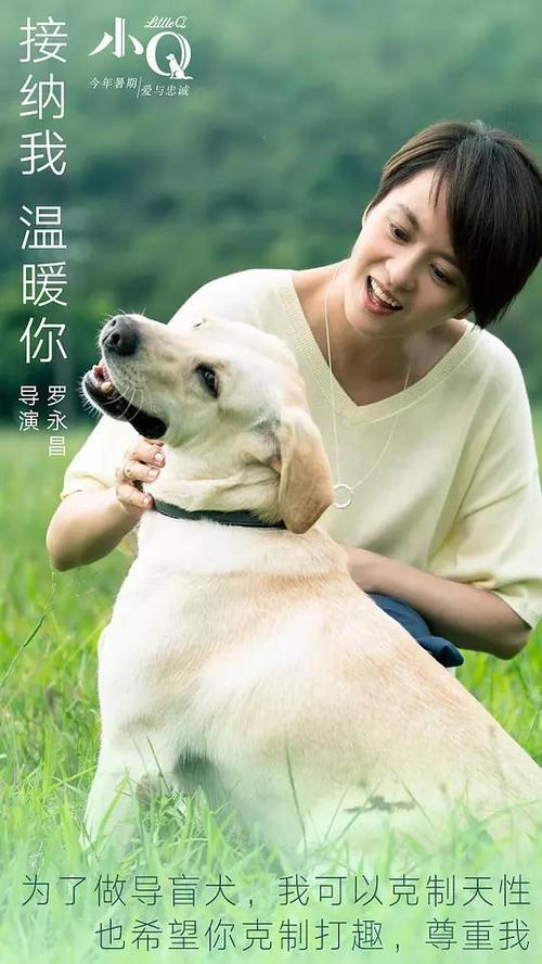 定制加利福尼亚整合研究学院文凭